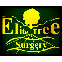 Elite Tree Surgery 1121358 Image 1