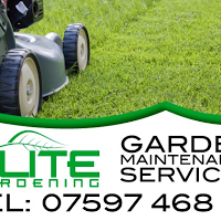 Elite gardening services 1116544 Image 1