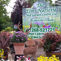 Elms Nursery and Garden Centre Ltd 1107061 Image 0