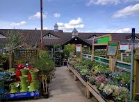 Enfield, a Wyevale Garden Centre 1108728 Image 0