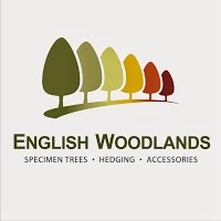 English Woodlands 1131153 Image 3