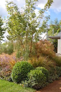 EverGreen Landscaping 1110201 Image 1