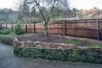 Evolution Tree , Hedge and Fencing services 1127527 Image 1