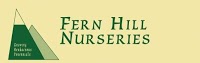 Fernhill Nurseries 1121425 Image 0