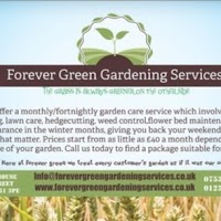 Forever Green Gardening Services 1109581 Image 6