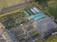 Foundry Plant centre 1117909 Image 4