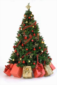 Frosts Christmas Tree Hire 1106885 Image 0