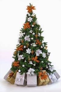 Frosts Christmas Tree Hire 1106885 Image 3