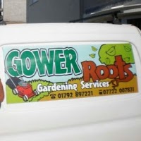 GOWER ROOTS GARDENING SERVICES 1103764 Image 3
