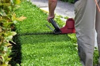 GPH Garden Care (Lawn Treatments and Garden Maintenance) 1117531 Image 6
