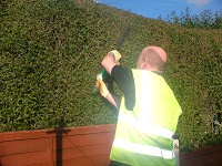 Galls garden care and maintenance 1108278 Image 0