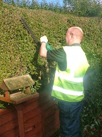Galls garden care and maintenance 1108278 Image 1