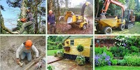 Garden Designs, Landscape Gardening and Tree Surgery East Anglia 1122527 Image 0