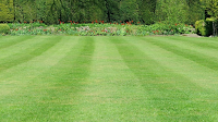 Garden Medic Oxfordshire 1120653 Image 0