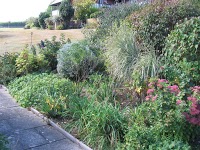Gardener for hire, Seaford Helping Hand Gardener 25 yrs Experience 1106468 Image 0