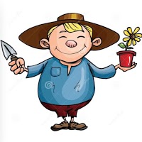 Gardener for hire, Seaford Helping Hand Gardener 25 yrs Experience 1106468 Image 1