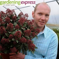 Gardening Express 1111393 Image 3