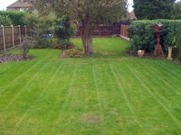 Gardening Services Leicester 1128642 Image 0