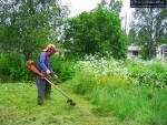 Gardening and cleaning services 1117138 Image 0
