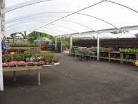 Gateside Nursery and Plant Centre 1130431 Image 2