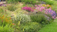 Glyme Garden and Landscape Co 1108850 Image 1