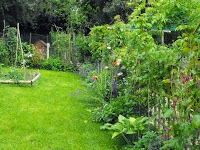 Golden Grass Professional Gardening Services 1116353 Image 2