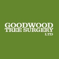 Goodwood Tree Surgery Ltd 1117633 Image 7