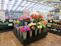 Gordale Garden and Home Centre 1108917 Image 2