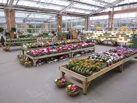 Gordale Garden and Home Centre 1108917 Image 4