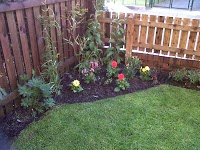 Gosforth Garden Services 1118218 Image 4