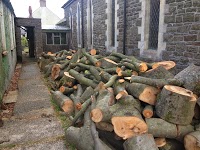 Gower Tree Work Specialists 1122290 Image 1