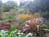 Graham Lawlor Plants and Gardens 1110327 Image 3