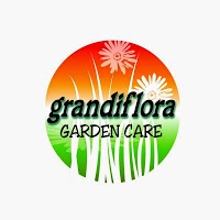 Grandiflora 1107337 Image 0