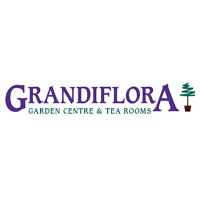 Grandiflora Plant and Garden Centre 1106957 Image 8