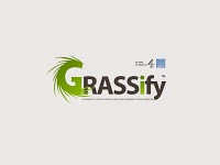 Grassify Artificial Grass 1120918 Image 4
