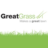 Great Grass Artificial Grass 1110911 Image 7