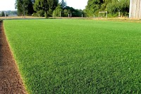 Green Lawn Turf   Garden Turf Laying Services London 1123308 Image 0