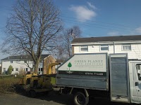 Green Planet Tree Services 1106304 Image 1
