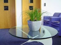 Green Team Interiors for Office Plants 1129981 Image 2