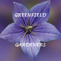 Greenfield Gardeners 1130813 Image 0
