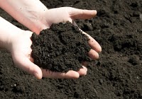Greenmoor Turf Suppliers and topsoil suppliers 1130329 Image 7
