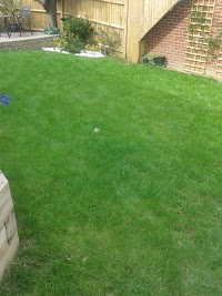 Greensleeves Lawn Care (Eastbourne) 1127141 Image 2