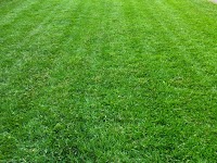 Greensleeves Lawn Care   Leicester East 1118606 Image 3