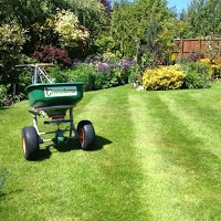 Greensleeves Lawn Care   The lawn treatment experts 1122281 Image 0