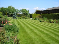 Greensleeves Lawn Care 1113714 Image 0