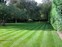 Greensleeves Lawn Care 1113714 Image 1
