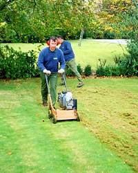 Greensleeves Lawn Care 1121214 Image 5