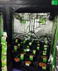 Grow and Harvest Hydroponics Store 1129171 Image 9