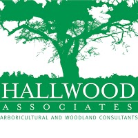 Hallwood Associates 1119778 Image 0
