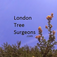 Haringey and North London Tree Surgeons 1127530 Image 5
